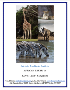 African Safari in Kenya and Tanzania