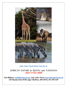 African Safari 2025 Lake Arbor Travel
